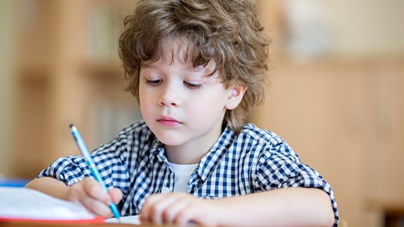 Od którego roku życia dziecko może uczyć się języków
